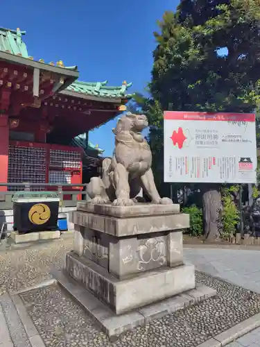 神田神社（神田明神）の狛犬