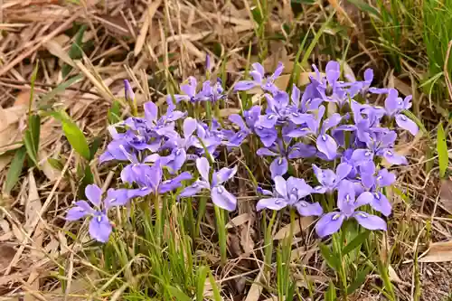 鎌大師堂(愛媛県)