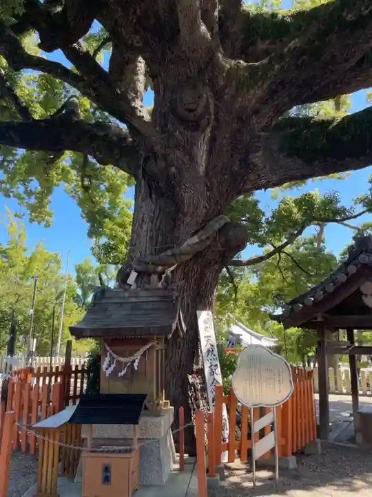百舌鳥八幡宮の自然