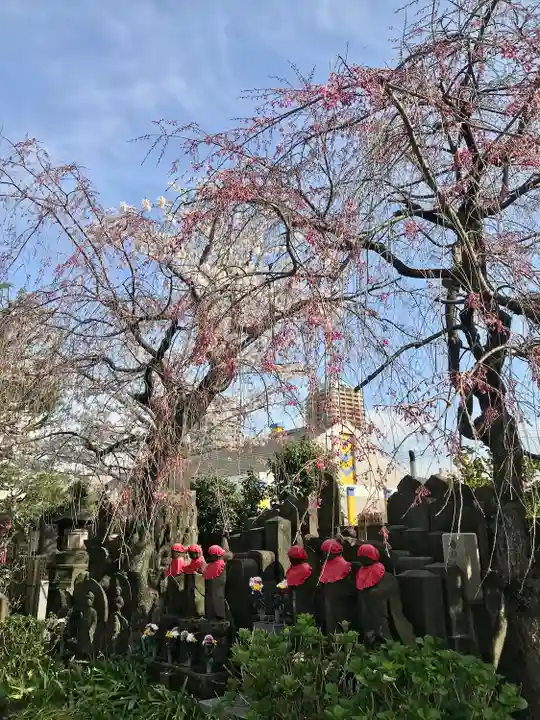 薬師寺 南蔵院 (東京都)