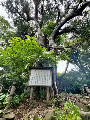 大瀬神社(静岡県)