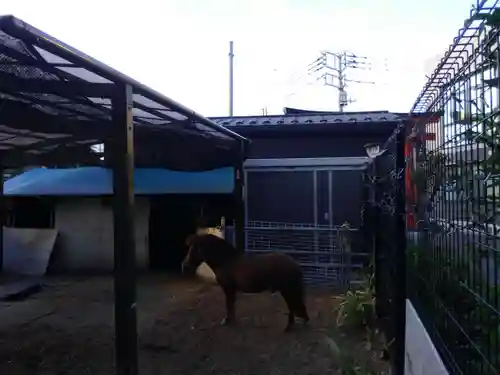 五方山熊野神社の動物