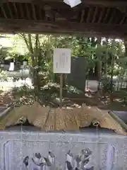 常磐神社の手水