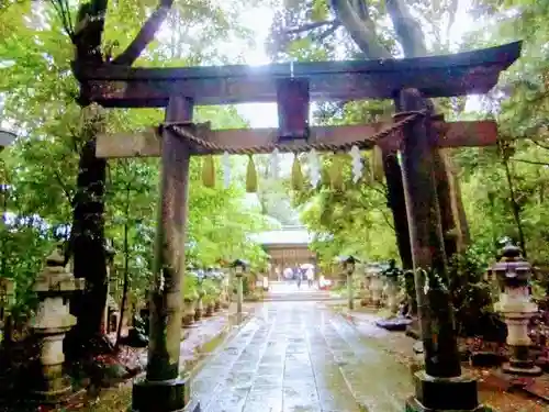 駒木諏訪神社の鳥居