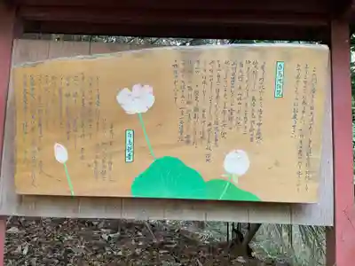 常照寺(京都府)