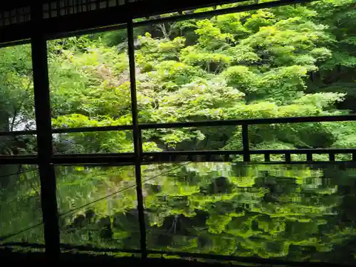 光明寺瑠璃光院の庭園