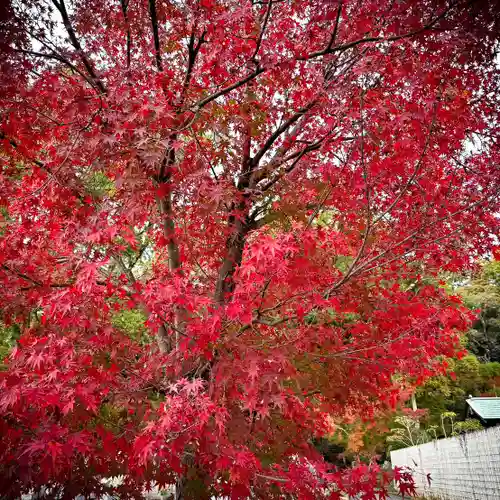 伊勢の国 四天王寺(三重県)
