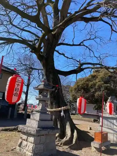 島田八坂神社の建物その他