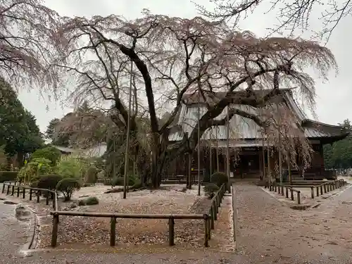 長光寺(千葉県)