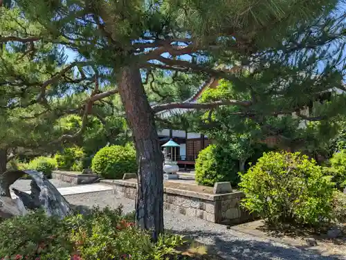 大善寺(京都府)