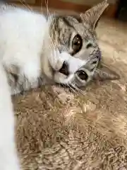 王子神社の動物