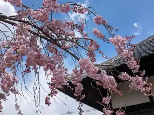 西光寺(山梨県)
