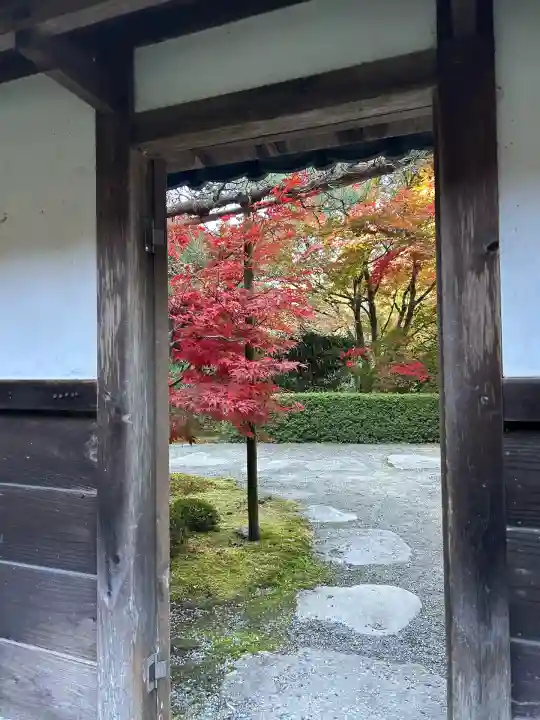 金剛輪寺(滋賀県)