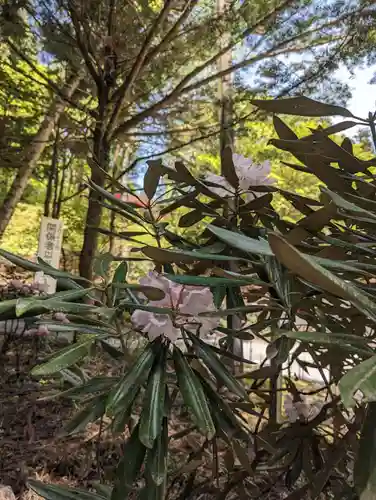 三峯神社(埼玉県)