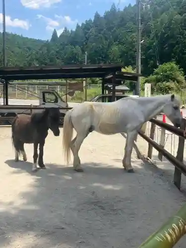 丹生川上神社（下社）(奈良県)