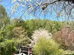 北赤井神社の自然