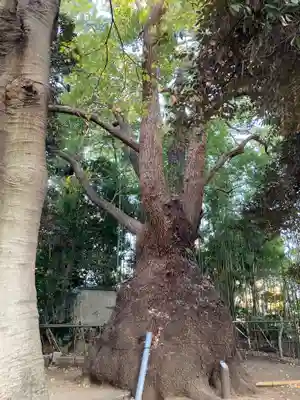 玉川神社(東京都)