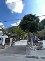 大渕寺(埼玉県)