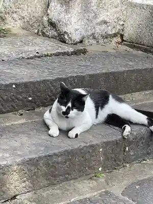 大綱金刀比羅神社(神奈川県)