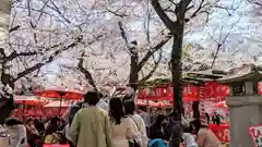 平野神社のお祭り