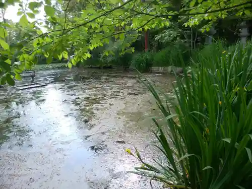 永山神社の庭園