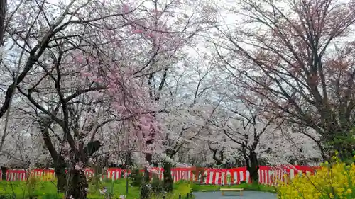 平野神社の自然