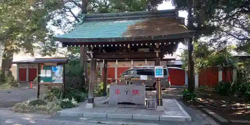 自由が丘熊野神社の手水舎