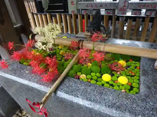 高円寺氷川神社の手水舎