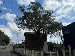 手力雄神社(岐阜県)