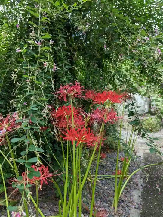勝念寺(かましきさん)(京都府)