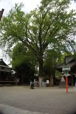 田無神社(東京都)