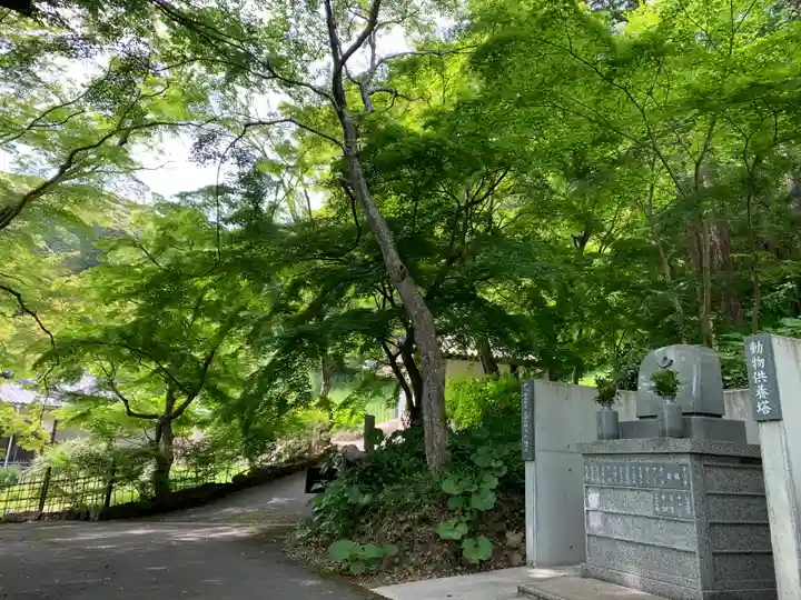 普門寺(切り絵御朱印発祥の寺)のその他建物