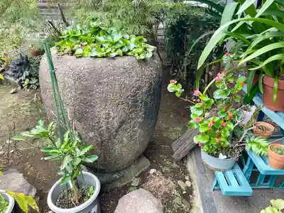 谷中 妙福寺(東京都)