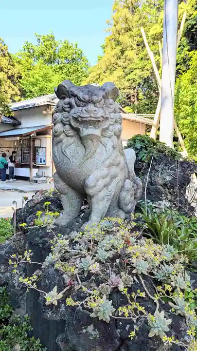 柏諏訪神社の狛犬
