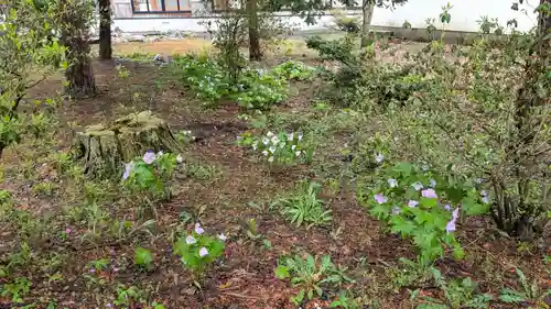 極楽寺(北海道)