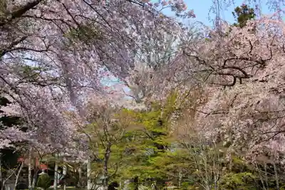 三春大神宮の景色