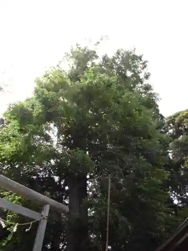 深見神社の自然