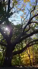 相馬神社(北海道)