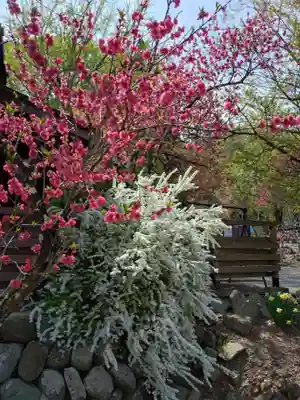 浄光寺(長野県)