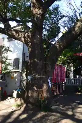 笠䅣稲荷神社(神奈川県)