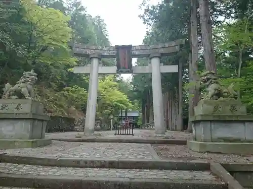 日枝神社の鳥居
