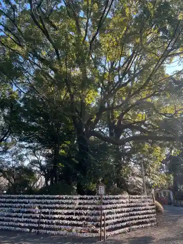 米之宮浅間神社の自然