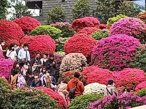 根津神社(東京都)