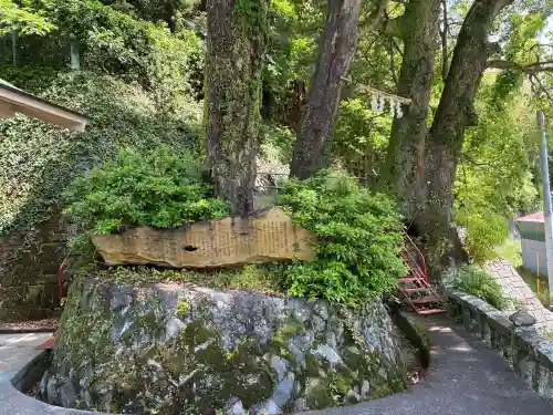 土肥神社の{uncategorized: "未分類", other: "その他", undefined: "問題あり", building: "その他建物", grave: "お墓", sacred_gate: "鳥居", guardian: "狛犬", statue: "像", buddha: "仏像", history: "歴史", nature: "自然", garden: "庭園", animal: "動物", pagoda: "塔", temizu: "手水舎", mountain_gate: "山門・神門", sanctuary: "本殿・本堂", subordinate: "末社・摂社", art: "芸術", scenery: "景色", jizo: "地蔵", ema: "絵馬", goshuin: "御朱印", omikuji: "おみくじ", items: "授与品その他", amulet: "お守り", goshuincho: "御朱印帳", eats: "食事", festival: "お祭り", votive_dance: "神楽", shichigosan: "七五三参", wedding: "結婚式", experience: "体験その他", initially: "初詣", around: "周辺", anti_infection: "感染症対策"}