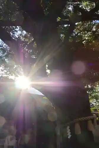 座間神社(神奈川県)