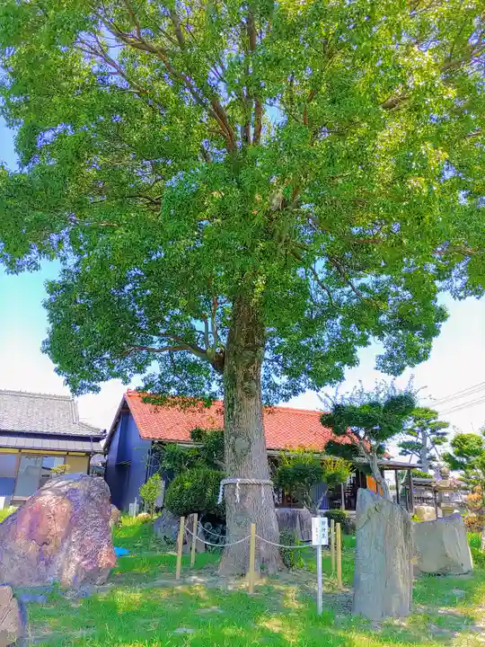 國建神社の自然