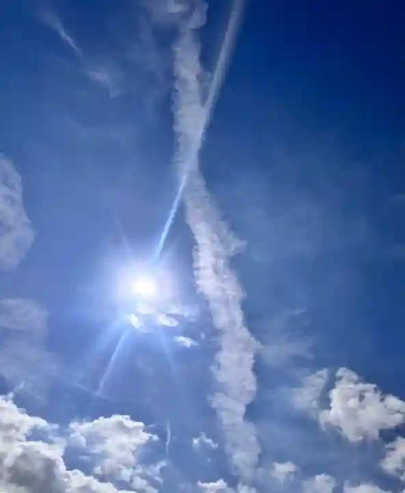 成田山新勝寺(千葉県)