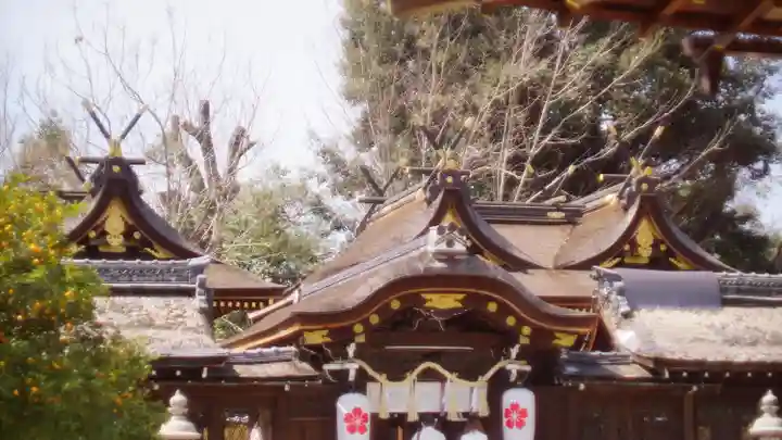 平野神社(京都府)