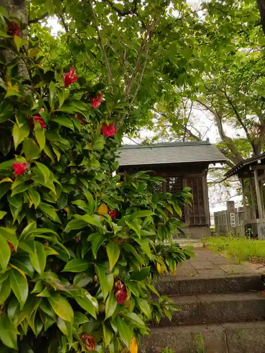 神明神社(千葉県)