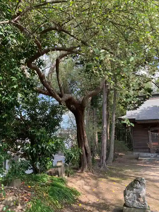 熊野神社(千葉県)
